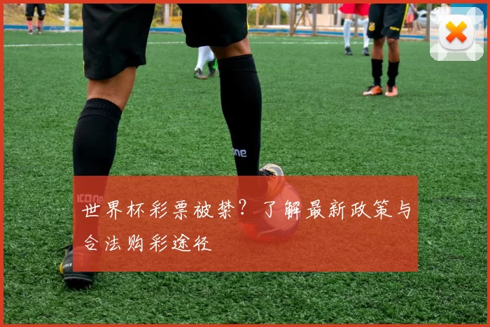 世界杯彩票被禁?了解最新政策与合法购彩途径