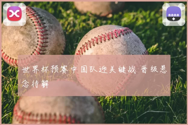 世界杯预赛中国队迎关键战 晋级悬念待解