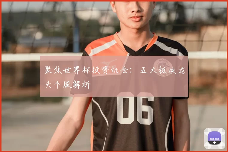 聚焦世界杯投资机会:五大板块龙头个股解析