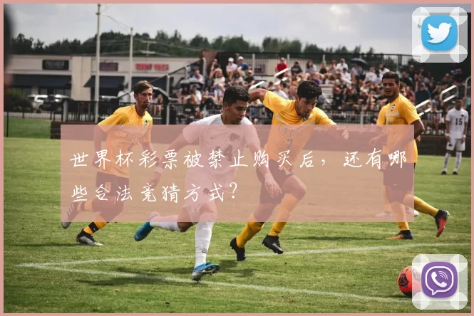 世界杯彩票被禁止购买后,还有哪些合法竞猜方式?