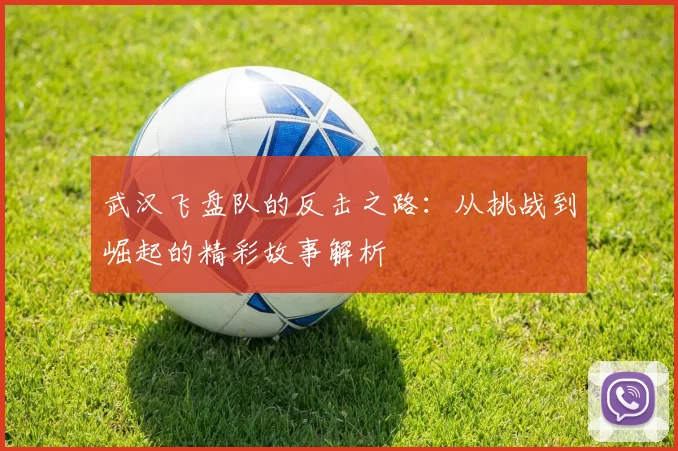 武汉飞盘队的反击之路:从挑战到崛起的精彩故事解析