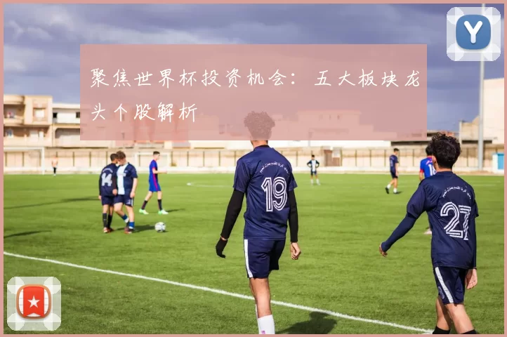 聚焦世界杯投资机会:五大板块龙头个股解析