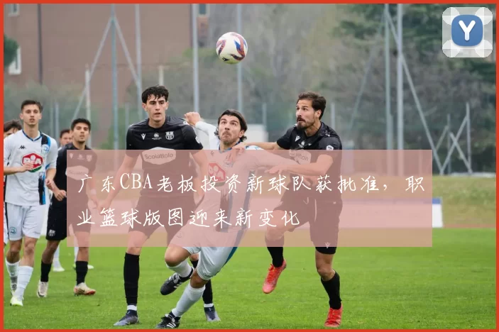 广东CBA老板投资新球队获批准,职业篮球版图迎来新变化