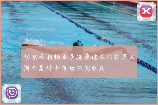 切尔西利物浦争抢桑德兰门将罗夫斯今夏转会市场热闹非凡
