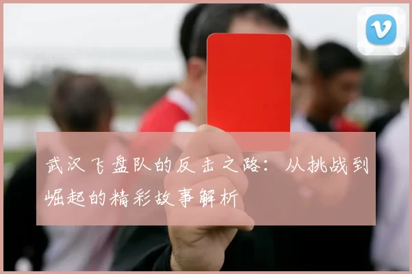 武汉飞盘队的反击之路:从挑战到崛起的精彩故事解析
