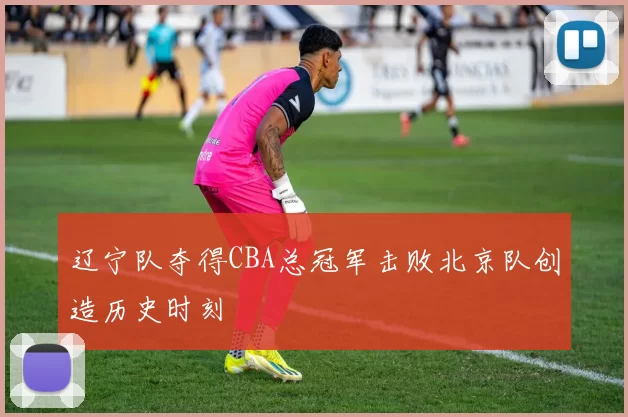 辽宁队夺得CBA总冠军击败北京队创造历史时刻
