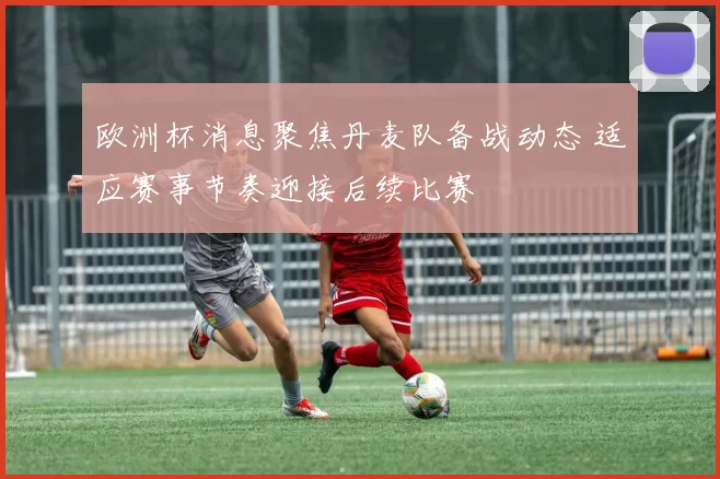 欧洲杯消息聚焦丹麦队备战动态 适应赛事节奏迎接后续比赛
