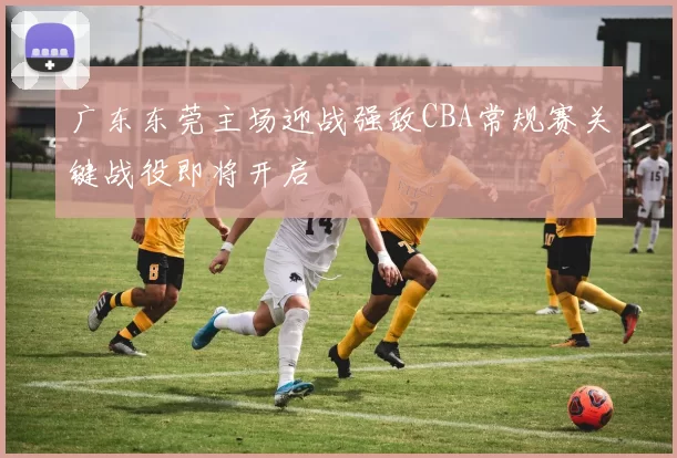 广东东莞主场迎战强敌CBA常规赛关键战役即将开启
