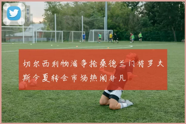 切尔西利物浦争抢桑德兰门将罗夫斯今夏转会市场热闹非凡