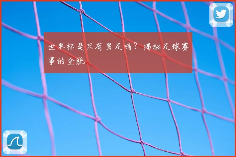 世界杯是只有男足吗?揭秘足球赛事的全貌