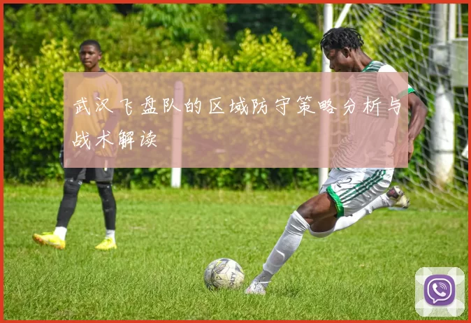 武汉飞盘队的区域防守策略分析与战术解读