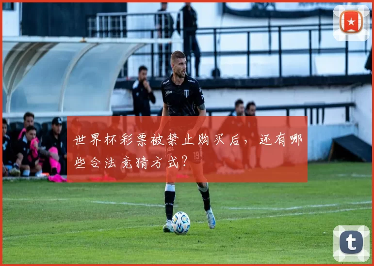 世界杯彩票被禁止购买后,还有哪些合法竞猜方式?